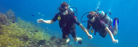 <b style="font-size:95%;">Discover Scuba Diving (DSD)</b>