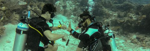 CURSO OPEN WATER DIVER