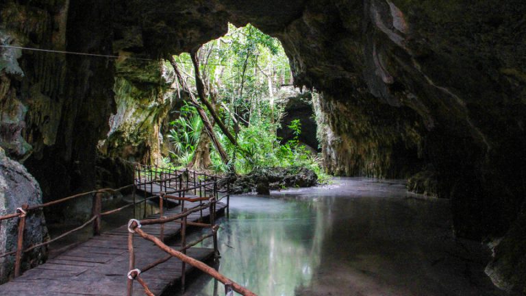 Cenote Experience: Swimming in cenotes - Underwater Mexico