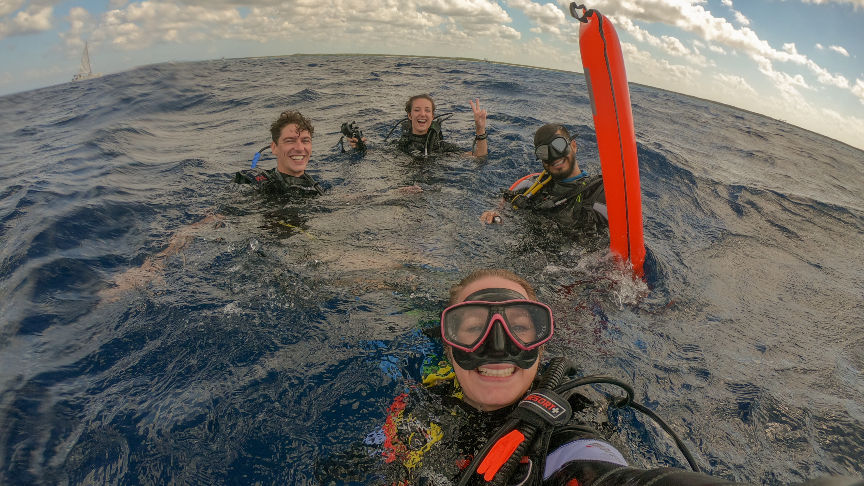 back at the surface after diving