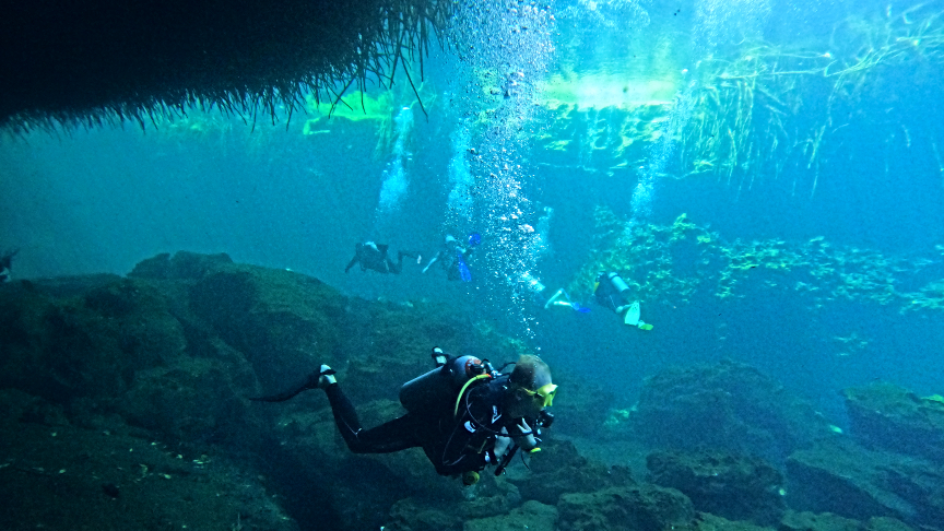 Diving in Casa Cenote